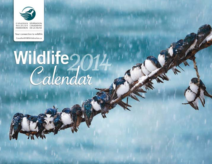 Free Canadian Wildlife Federation Calendar