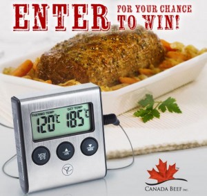 free-programmable-meat-thermometer-giveaway