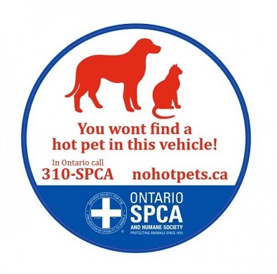 no hot pet sticker