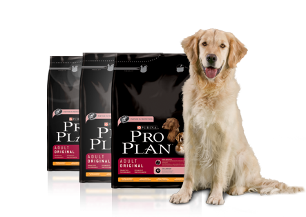 proplan contest tfs