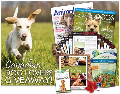 canadian dog lovers giveaway