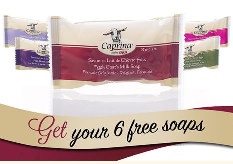 caprina soap sample