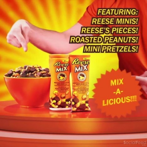 reese-snack-mix-coupon2